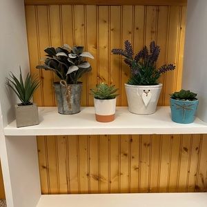 fake plants and sign